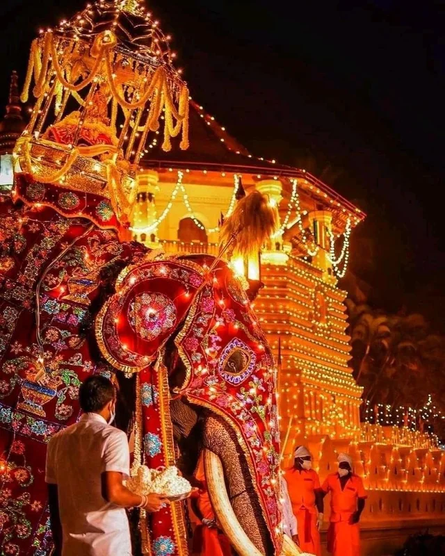 Experience the Kandy Esala Perahera festival near the Temple of the Tooth in Kandy