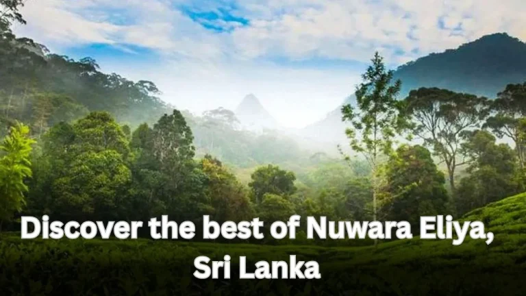 Discover the best of Nuwara Eliya, Sri Lanka
