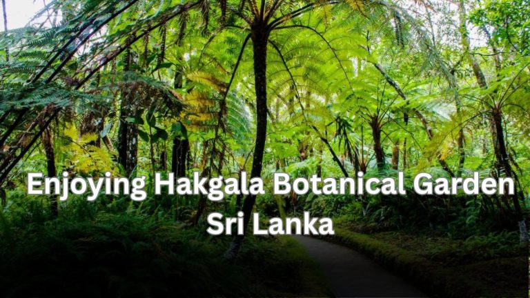 If you’re dreaming of a cool, misty getaway filled with color and calm, Hakgala Botanical Garden in Sri Lanka