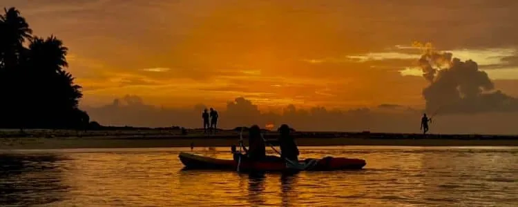 Biodiversity of the Madu Ganga / River is highly significant when considering the wide range of aquatic life and other animals.