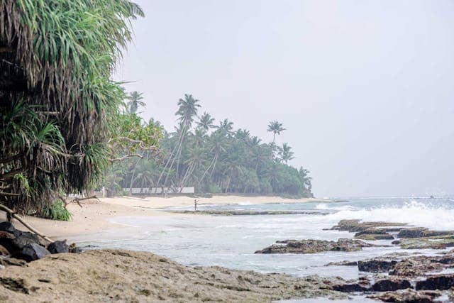 Mirissa Beach is one of Sri Lanka’s most beloved coastal gems.
